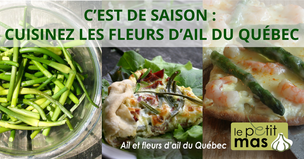 C'est de saison, cuisinez les fleurs d'ail du Québec