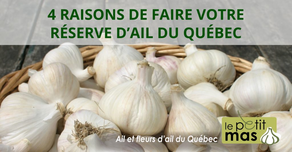 4 raisons d'acheter votre provision d'ail du Québec pour l'année