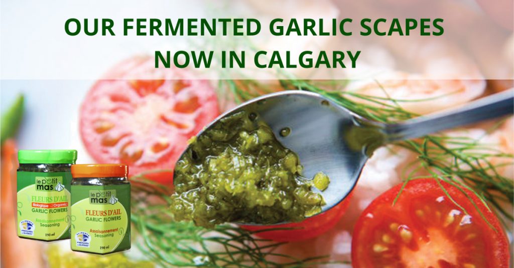 Fermented garlic scapes in Calgary