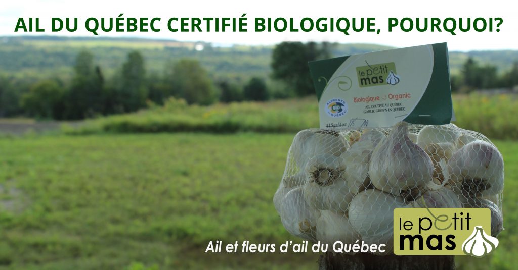 pourquoi choisir l'ail du Québec certifié biologique